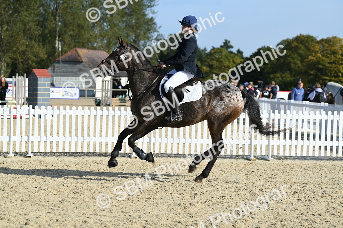 SBM_60492 - j25 - Junior Horse 80cm Championship