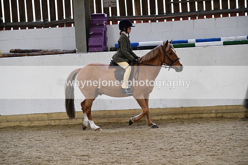 WJ5_7176 - Class 11 Ridden PC - RC Pony