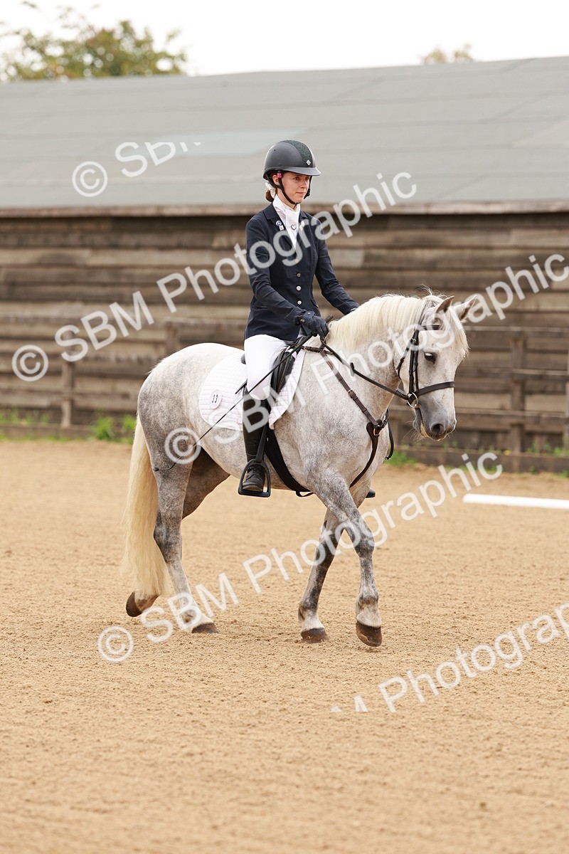 SBM_001028 - Intro 2