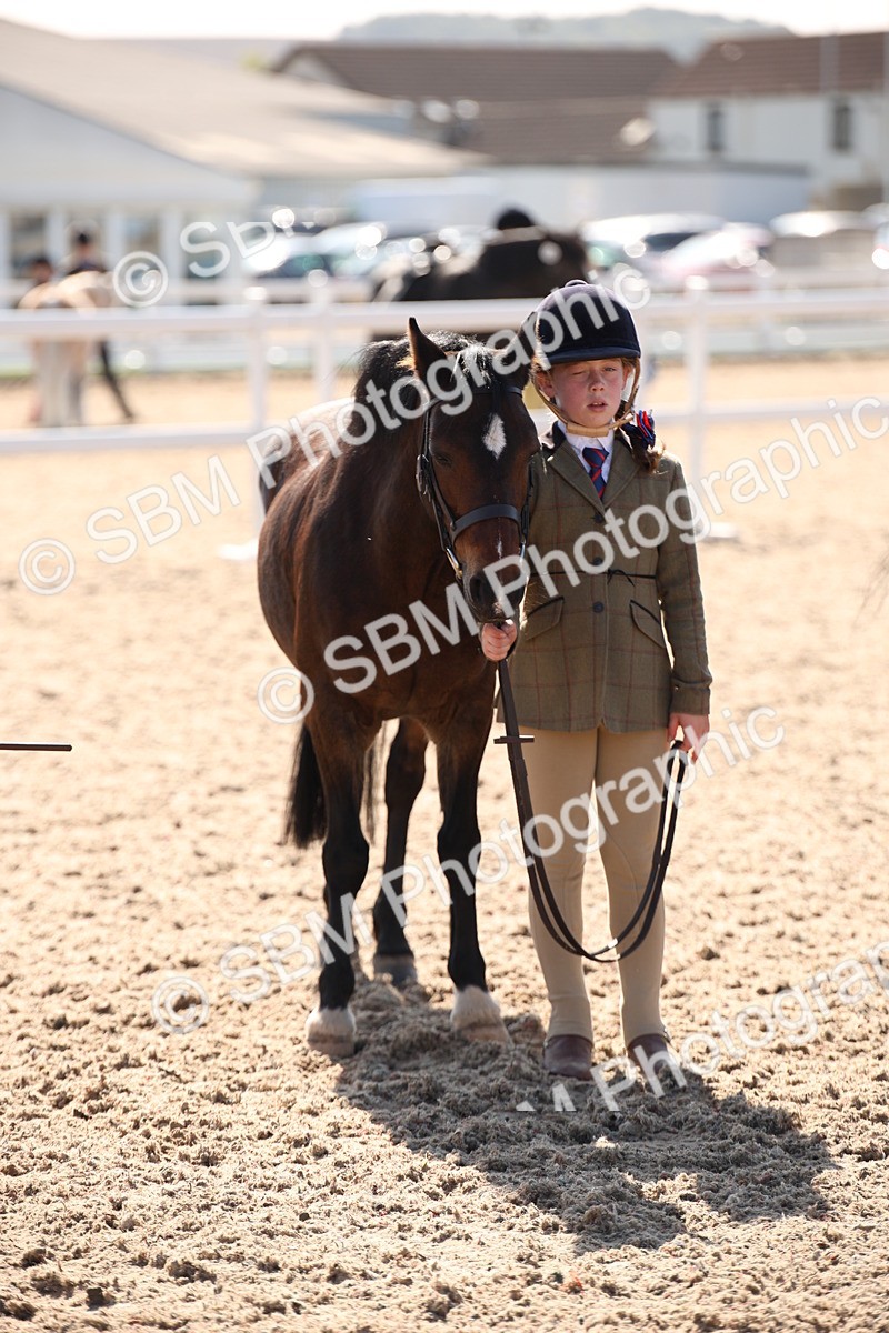 SBM_02791 - Class 16 IH M&M Wildcard