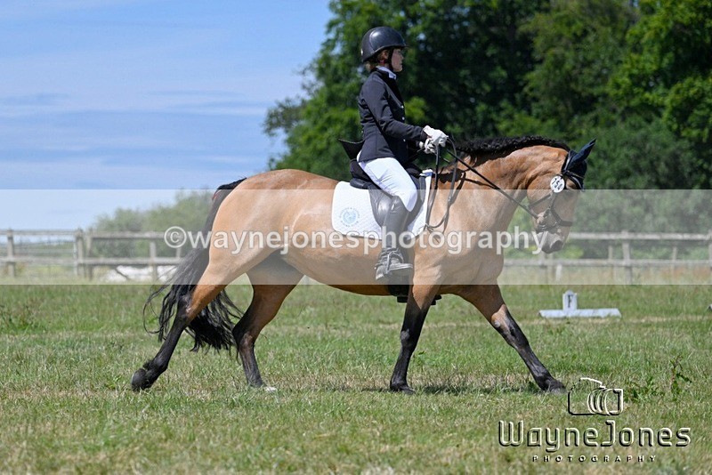 WJ7_4079 - Edited examples