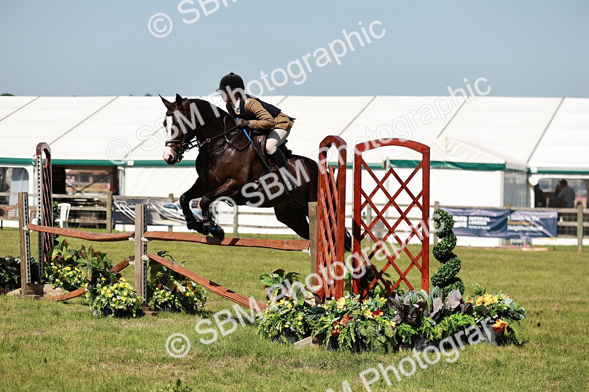 SBM_18403 - Class 112-113 - BSPS LIHS Working Sports Pony