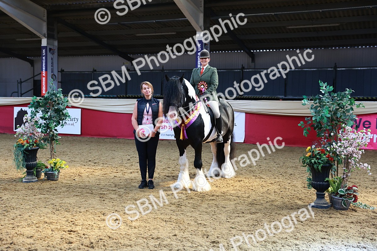 SBM_12772 - HOYS Veteran Qualifier - Ridden Champ
