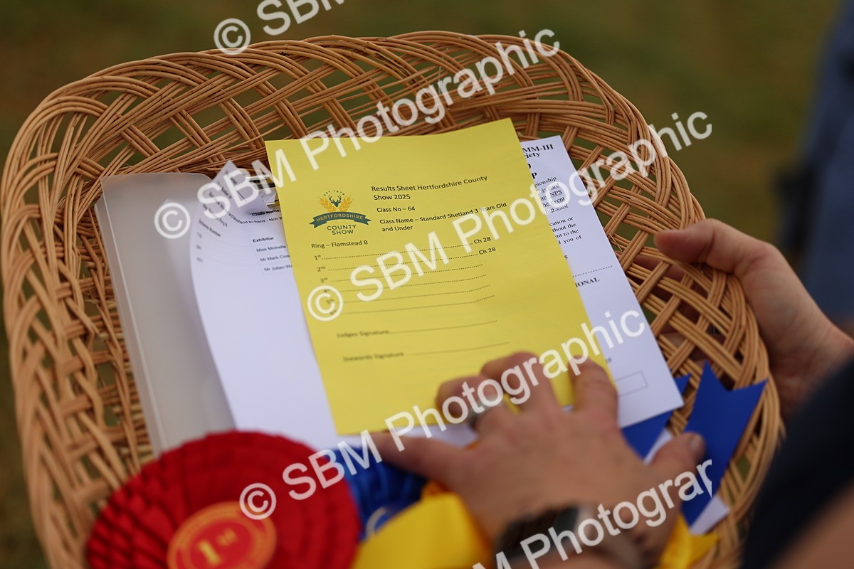 SBM_04319 - Class 64-67 - Shetland Pony In Hand
