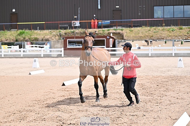 250716-125552-00227 - Trot Up 12.30 to 1.30