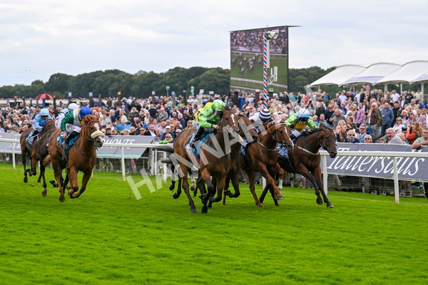 210824-Race 1-Jm Jungle-4513 - Race 1 1.50pm Symphony Group Handicap
