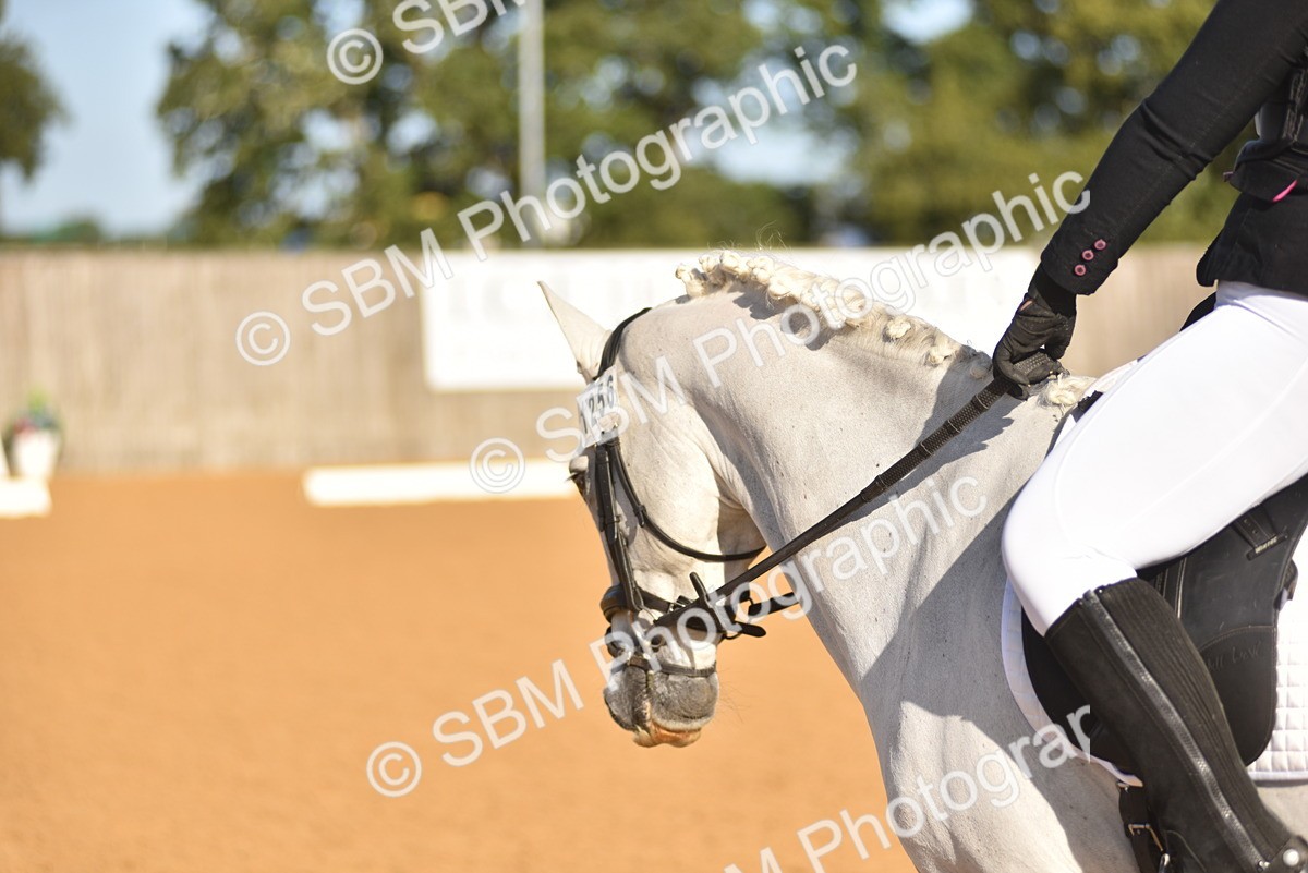 SBM_15747 - D4 - Small Tour Championship Intro 4