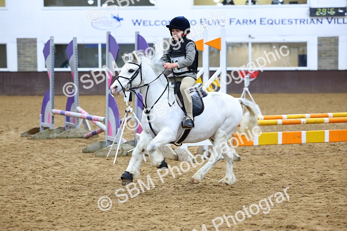 SBM_001435 - Class 3 - Christmas Tree Stakes - 60cm