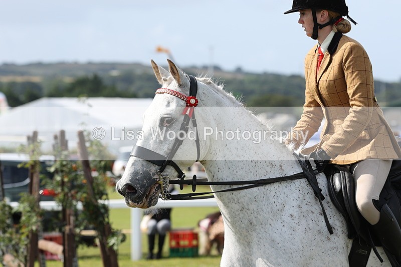 JPP_0903 - Class 16: Cornish Combination Young Rider