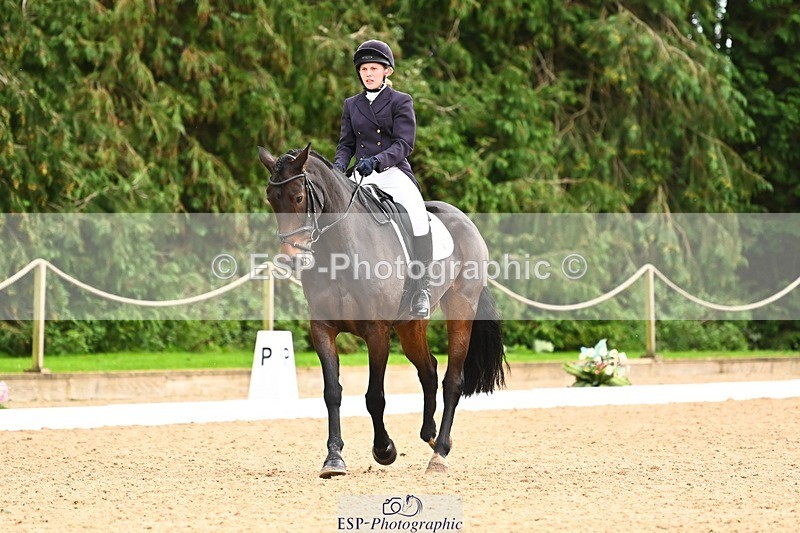 231020-155025-11959 - 217-CEFNPANT.IOLO-Katie.Thomas-DR