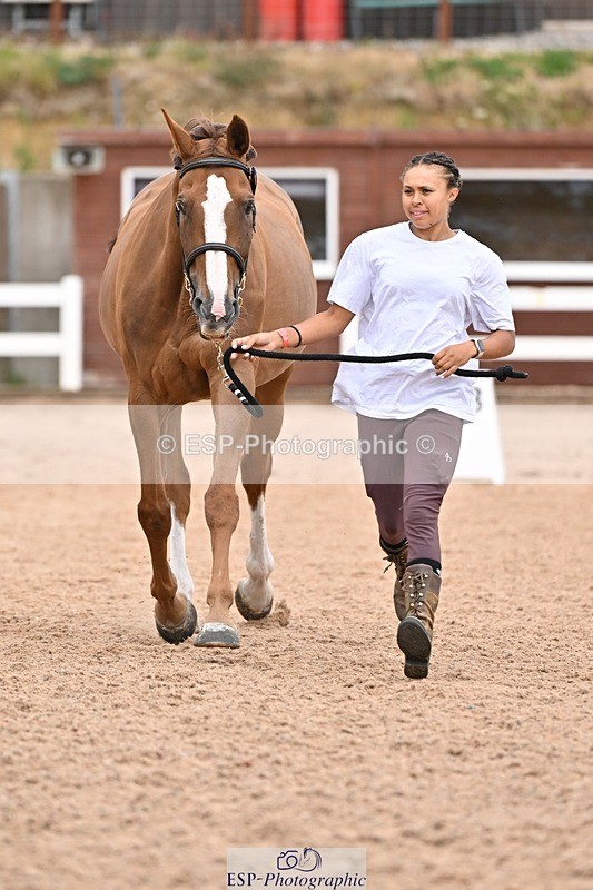 250716-162539-02629 - Trot Up 3.30 to 4.30