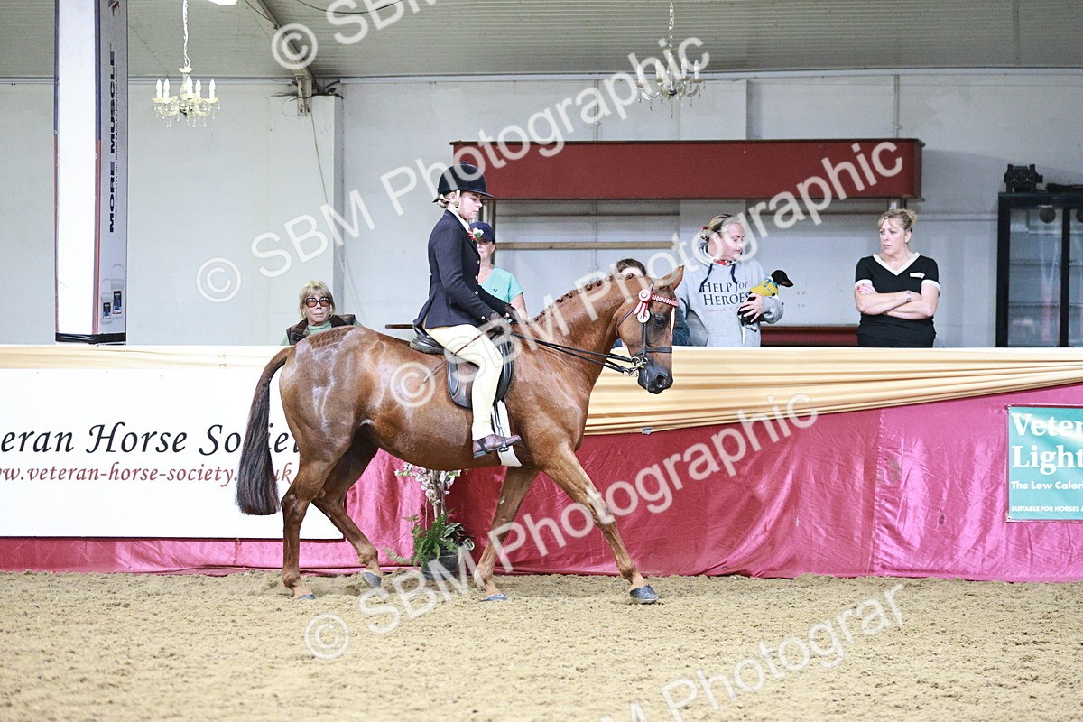 SBM_03464 - Class 6A Area Ridden Pre-Vet