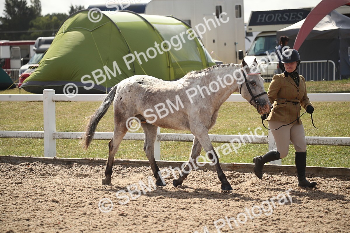 SBM_23395 - Class 604 - 2026 - Area IH Diamond