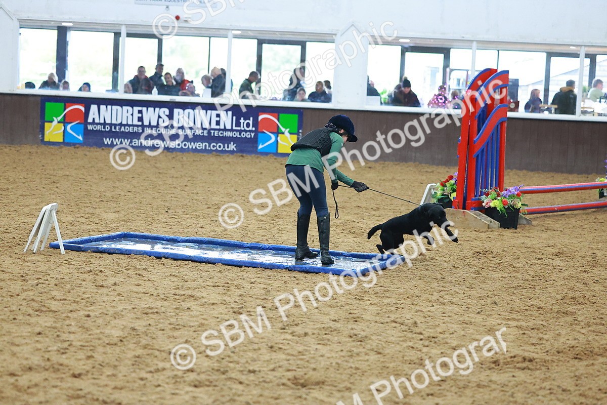 SBM_002419 - Class 3 - Horse & Hound (60cm)