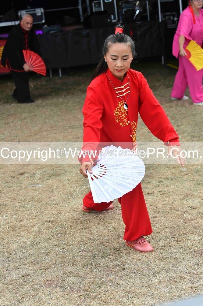 SH4_1598 - Tai Chi with Lisa Kay.