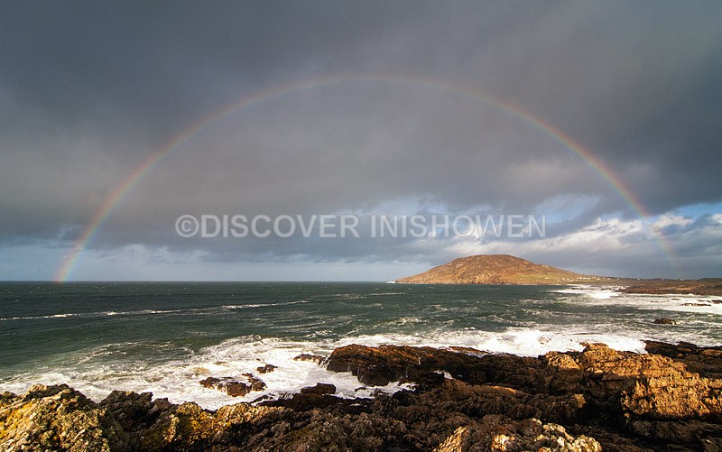 Urris coast and Dunaff Head - Nature