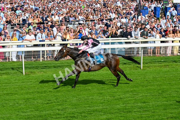 280625-Race 7-Titian-0643 - Race 7 5.25pm Al Basti Equiworld Dubai Amateur Jockeys' Handicap