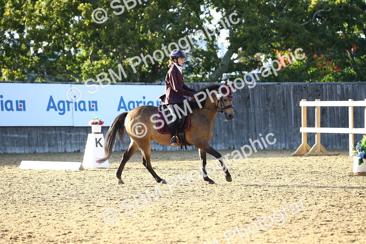 SBM_54504 - D25 - Junior Championship No1 & Elem 2