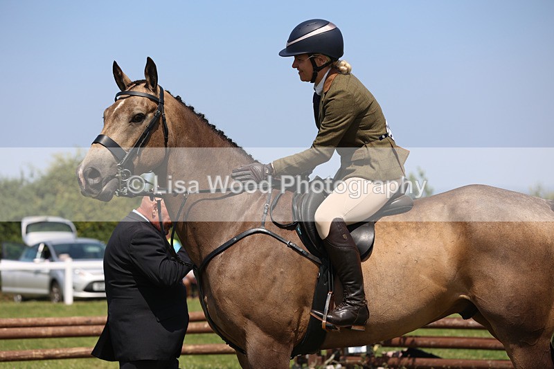 JPP_3117 - Class 22: Working Hunter 70cm