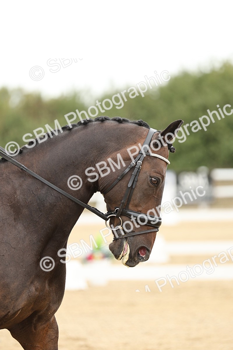 SBM_007161 - Class 25 - FEI PSG Bronze