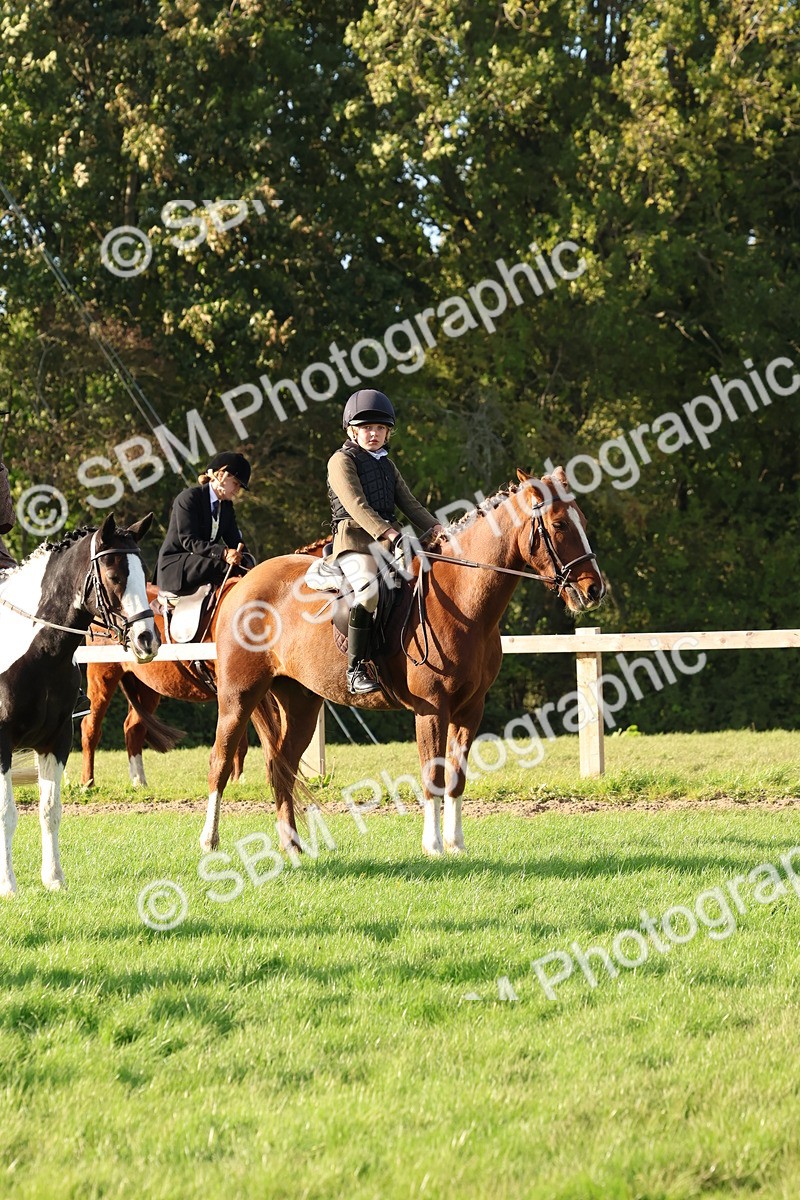 SBM_52621 - S13 - Pony Club Pony