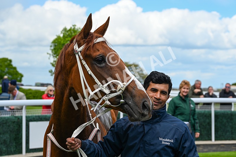 120526-Race 1-Lovers Leap-7265 - Race 1 2.30pm Clearanswer Call Centres Maiden Fillies' Stakes