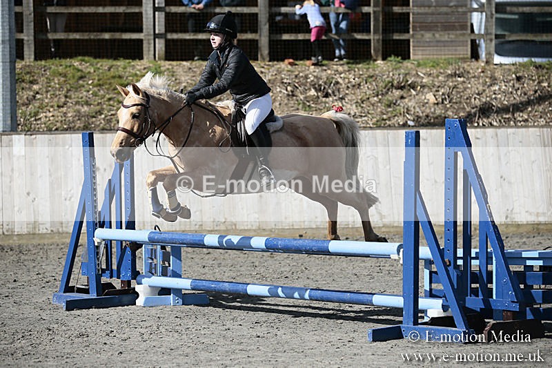 BVRC SJ 170319 258 - Bourne Valley Riding Club Showjumping 17/03/19