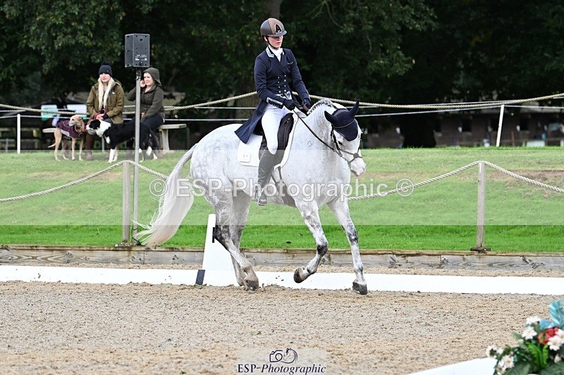 231019-151324-04416 - 061-SAYS.ALL-Maisie.Morgan-DR