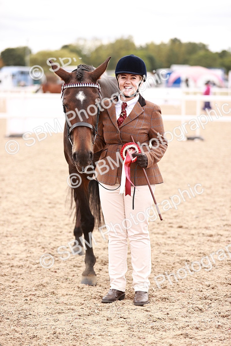 SBM_16363 - Class 413 - Best Condition - Adult