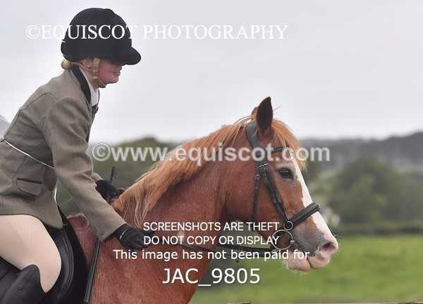 JAC_9805 - CLASS 2 Novice Working Hunter (0.60m - 0.70m)