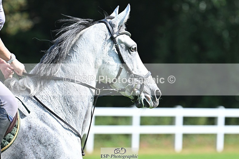 230909-122219-05450 - Cls 11 Snr Foxhunter & 1.20m Open