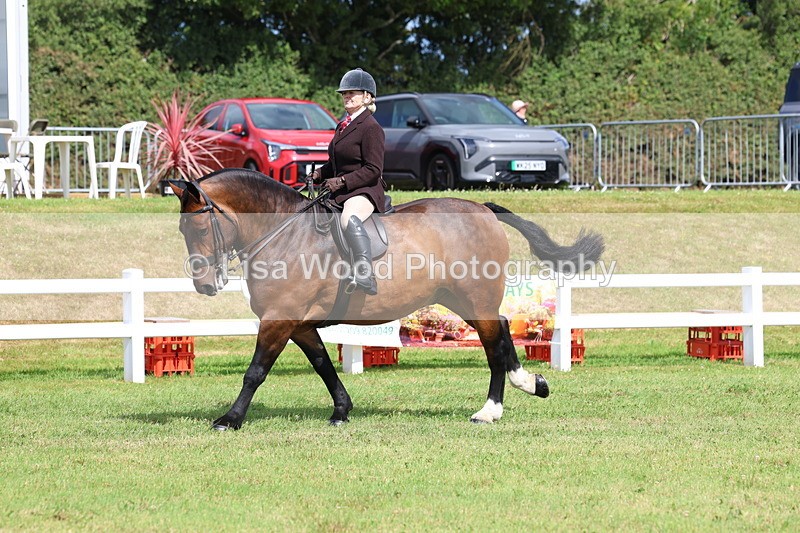 3E7A9736 - Class 5: Rising Star Lightweight/Heavyweight Cobs