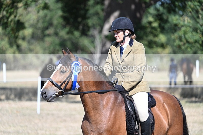 WJ7_4156 - Class 9 Mountain & Moorland Ridden