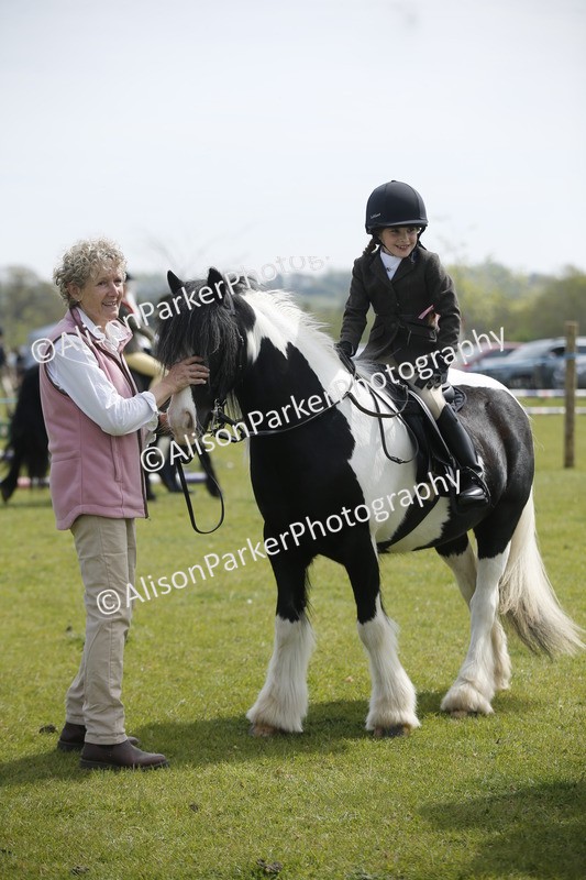 20260426-1880 - Class 7 - Pony Judge Would Most Like To Take Home