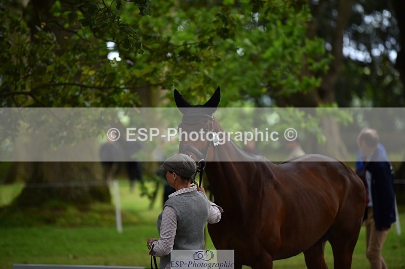 240522-150514-00082 - 305-SWHISKEY-Jeanette_Brakewell