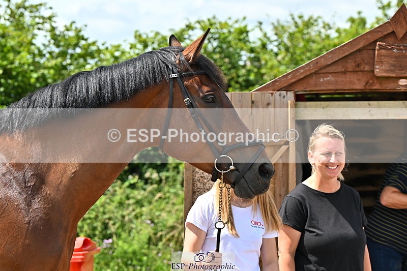 240718A-105316-01788 - Trot Up 1pm to 2pm