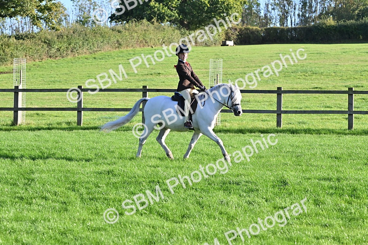 SBM_53092 - S23 - First Ridden Mountain & Moorland Pony