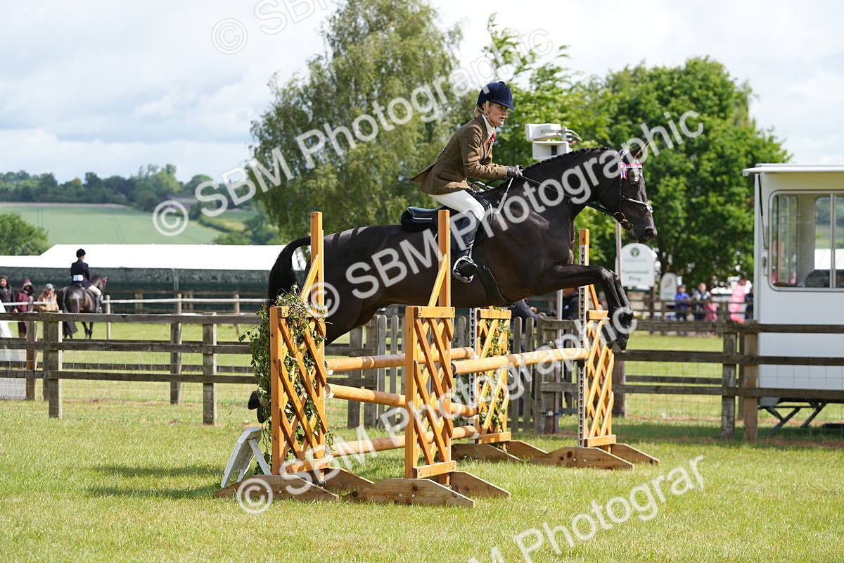 SBM_12894 - Class 99 - RIHS SEIB Working Show Horse
