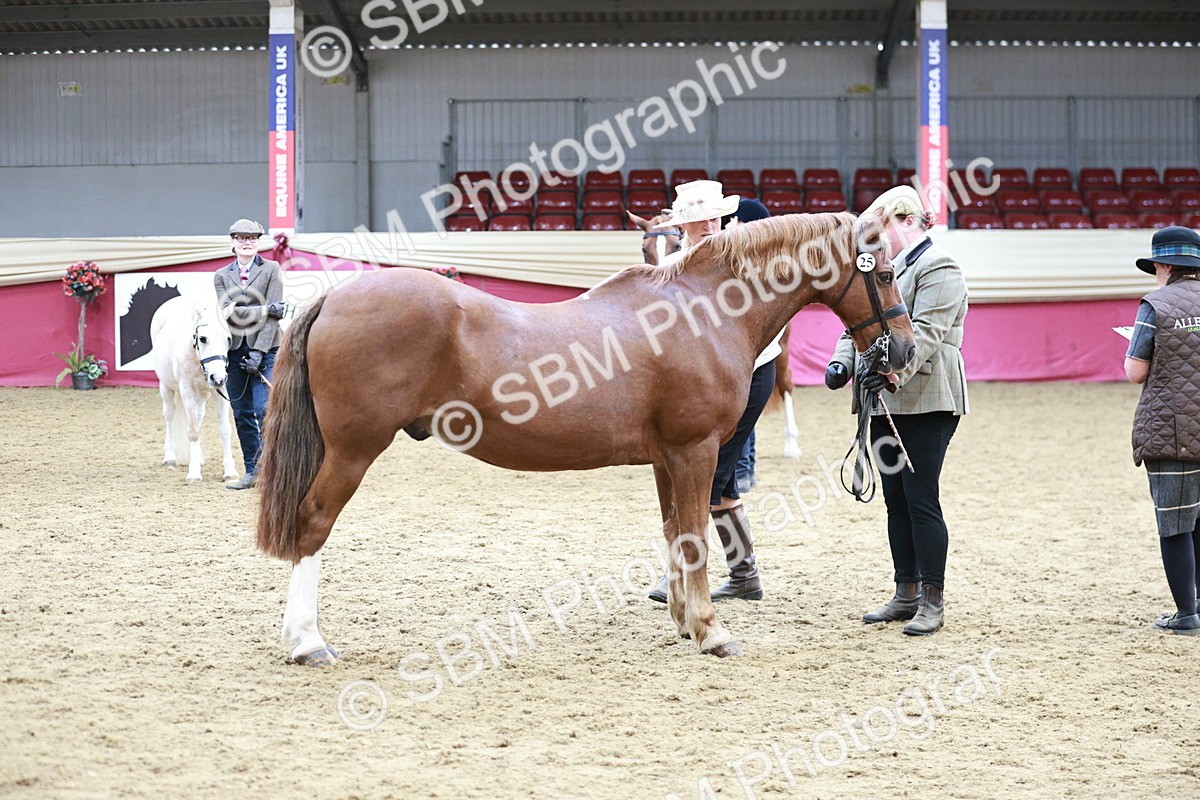 SBM_04834 - Class 7R - Regional IH Diamond