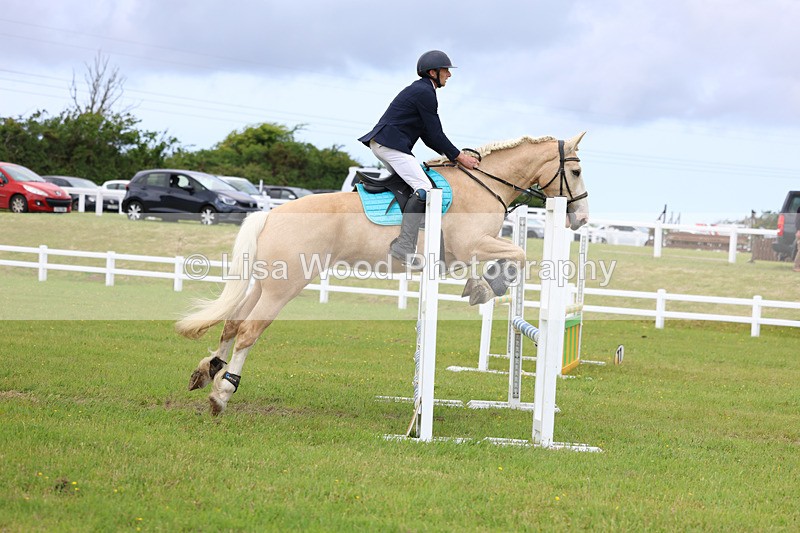 3E7A7635 - Class 13: Senior British Novice/90cm open