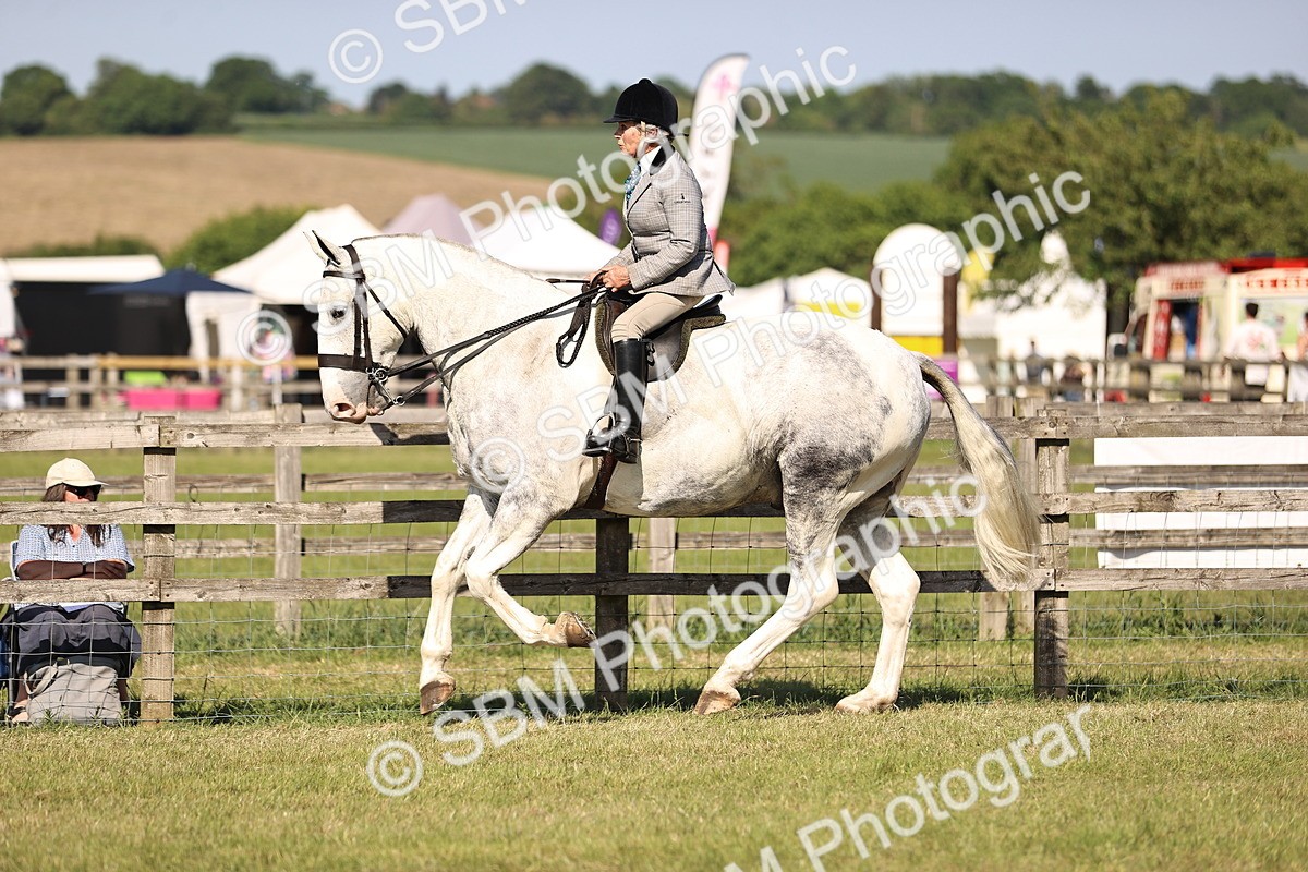 SBM_19634 - Class 87-88 - RIHS BSHA Riding Horses