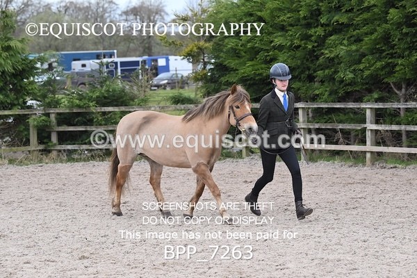 BPP_7263 - RING 1  (RIDDEN HORSES / IN HAND / VETERAN ETC)