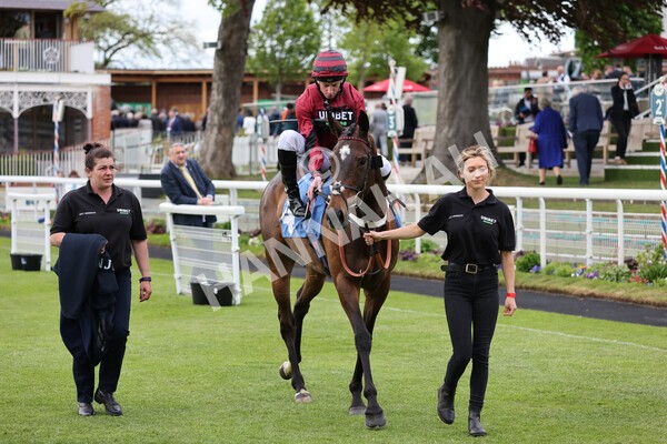 yr12052022r7-29 - Race 7 5.15pm Fidomoney Stakes