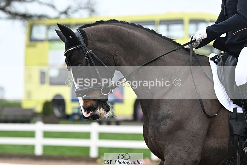 240217A-114429-02411 - 161-Katie.Warner-Active.Nuvalari