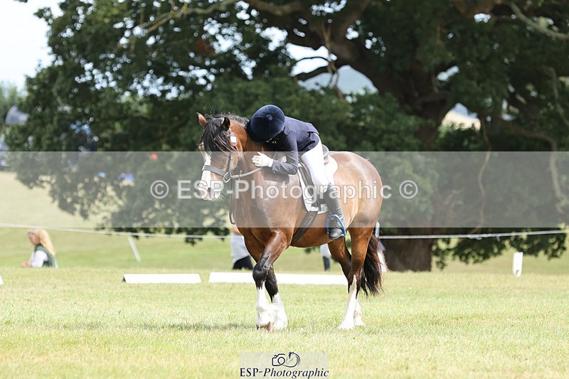 240824X-132347-27307 - D80 Section G and H 12.00 to 13.30