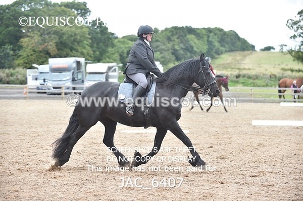 JAC_6407 - ELEMENTARY