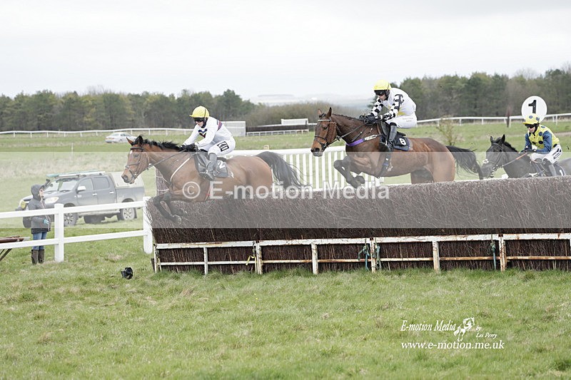 PtP 260323 0803 - New Forest Hounds Point-to-Point Larkhill 26/03/23