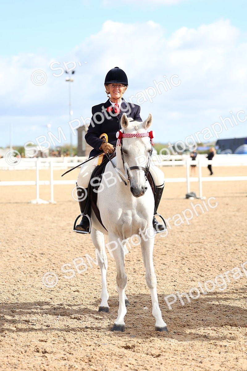 SBM_10151 - Class 304 - Ridden Part Bred Horse Pony