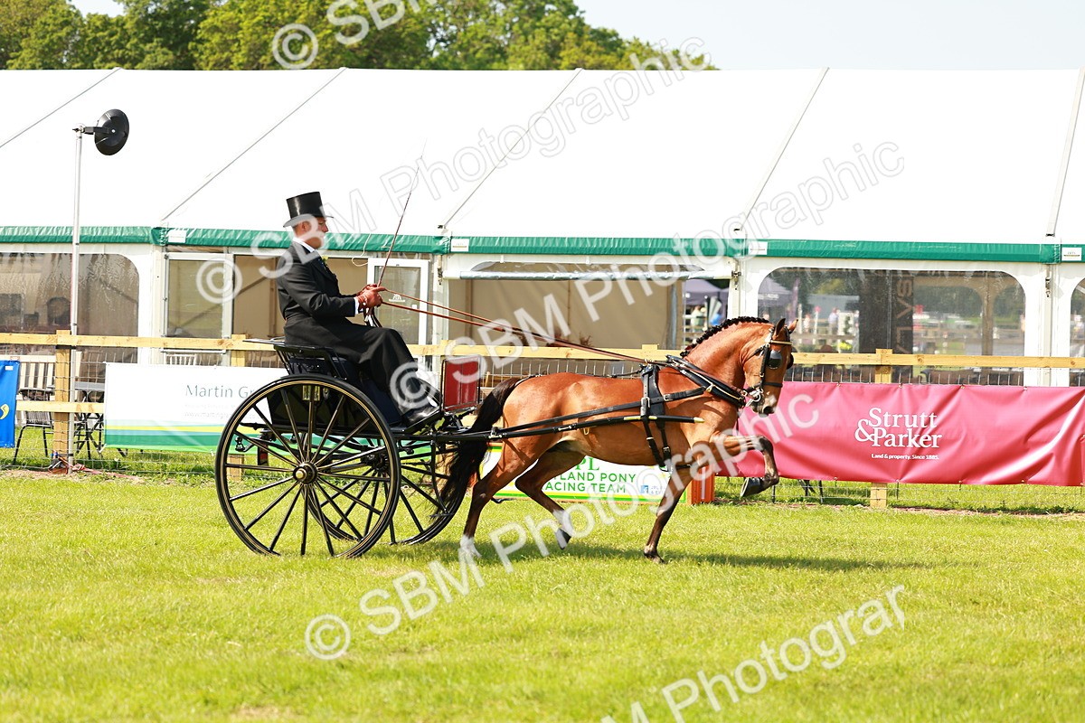 SBM_02551 - Class 2-4 - HOYS Private Driving