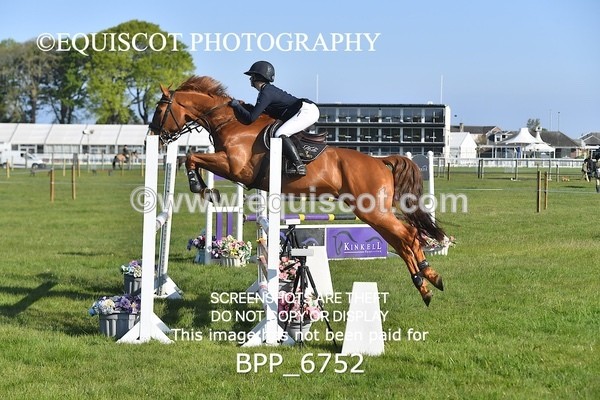 BPP_6752 - CLASS 1 Senior Newcomers/ 1.10m Open